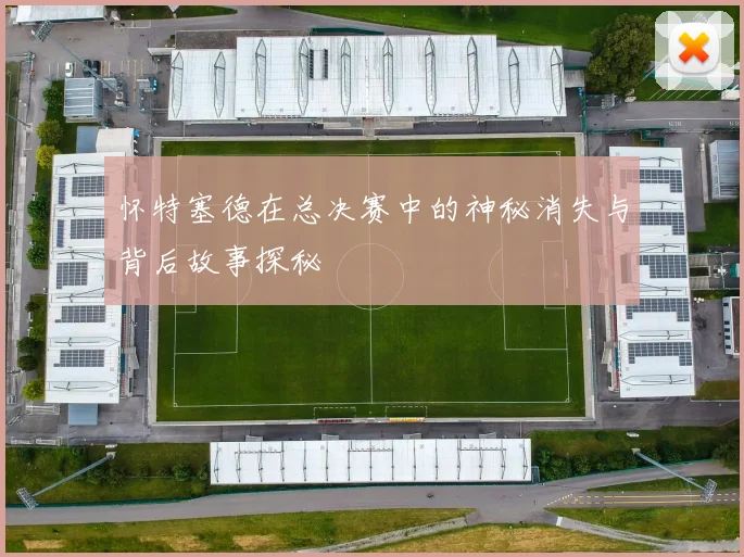 怀特塞德在总决赛中的神秘消失与背后故事探秘