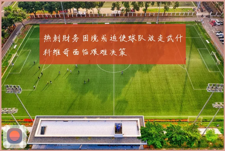 热刺财务困境或迫使球队放走武什科维奇面临艰难决策